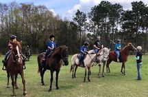 Horseback Ride on Scenic Lake Louisa Trails