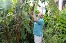 Private Cooking Class with a Fun Local in San German, Puerto Rico