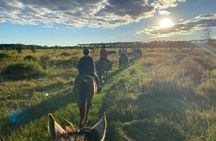 Horseback Ride on Scenic Lake Louisa Trails
