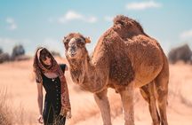 3 Days desert tour from Marrakech to Merzouga