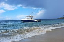 Private Tour to Cayo Icacos and Palomino Island