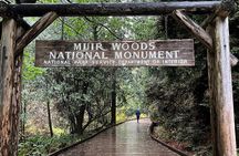 Muir Woods and Sausalito Private Tour