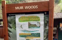 Muir Woods and Sausalito Private Tour