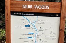 Muir Woods and Sausalito Private Tour