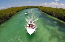 Jungle Tour Adventure in Cancun with Snorkeling 