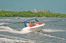 Jungle Tour Adventure in Cancun with Snorkeling 