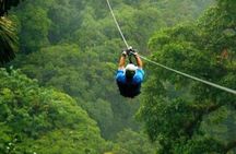 Day Trip to Kereita Forest and Ziplining 