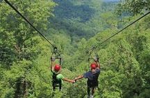 Day Trip to Kereita Forest and Ziplining 