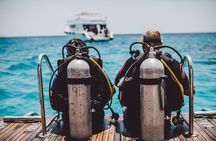 Sharm El-Sheikh: Ras Muhammed & White Island By Boat & intro Dive