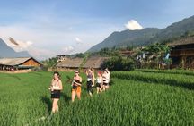 From Hà Nội : Sapa trek with local guide 2 days 1 night 
