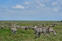 6 Days Serengeti Classic Safaris Odyssey in Tanzania