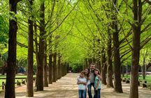 Samaksan Cable Car and Nami Island Day Escape with Railbike