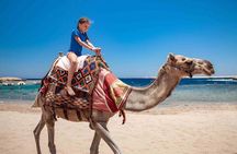 Quad Tour Along the Sea and Mountains in hurghada