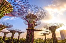 Morning Singapore City Tour w Gardens By The Bay Tickets