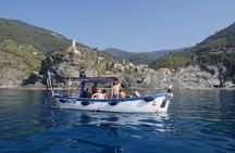 Morning Boat Tour to Cinque Terre with brunch