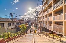 Tokyo Full Day Private Explorer Walking Tour