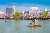Tokyo Full Day Private Explorer Walking Tour