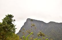 Easy Walk to Finca La Montaña and Short Tour in Salento
