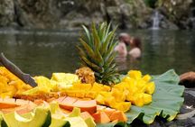 Rainforest River Hike and Waterfalls Adventure