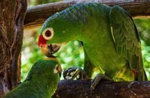 National Aviary & Mambo Beach Club Baru - Playa Blanca 