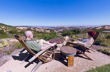 3-Winery Tour Includes Tastings & Lunch from Paso/Atascadero