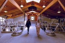 3-Winery Tour Includes Tastings & Lunch from Paso/Atascadero