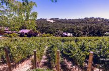 Private 5-Hour Transportation from Paso Robles or Atascadero