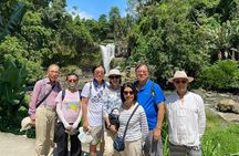 Best Bali Ubud Private Tour Benoa Port