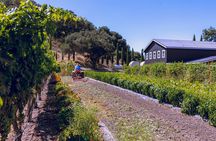 3-Winery Tour Includes Tastings & Lunch from Santa Barbara