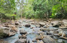 Waterfalls and Bushwalk Eco Adventure