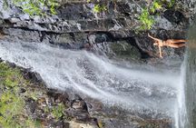 Waterfalls and Bushwalk Eco Adventure