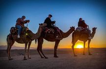 Quad bike and camel ride in the Agafay desert 
