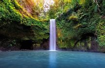 Bali Waterfalls Private Day Tour