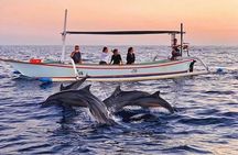 All inclusive Lovina Dolphins Sunrise tour, Waterfall & Temple 