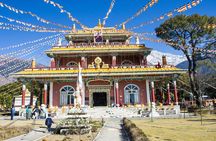 Palampur's Guided Day Tour: Discover the Tea Capital.