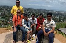 Discover Auckland City Half-Day Tour