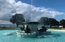 Auckland City Tour — Fast, Fun & Full of Views! (Half-Day)
