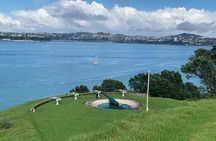 Auckland City Tour — Fast, Fun & Full of Views! (Half-Day)
