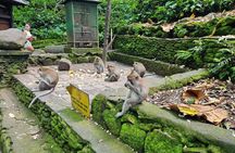 Full Day Best of Ubud Private Tour 