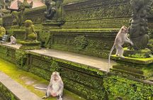 Full Day Best of Ubud Private Tour 