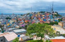 Half Day Private Tour in Guayaquil