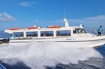 Praslin-La Digue Day Trip from Mahe Island Seychelles