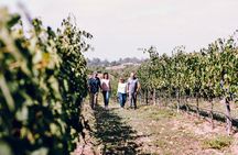3-Winery Tour Includes Lunch from Paso Robles & Atascadero