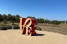 Transportation services for Napa . Sonoma wine tours 