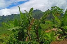 Hiking Binana Mountain & Waterfalls in Rwanda