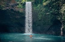 Ubud waterfall tour