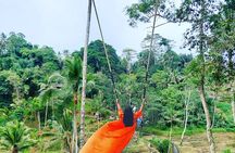 Ubud waterfall tour