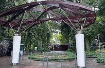 3 Hour Male' City Tour with Local Guide