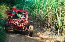 Half-Day ATV or Buggy 4X4 from Bayahibe - La Romana