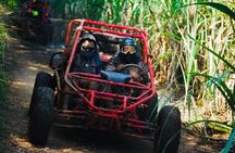 Half-Day ATV or Buggy 4X4 from Bayahibe - La Romana
